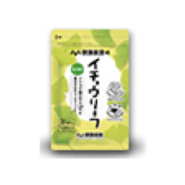健康家族 イチョウリーフ
